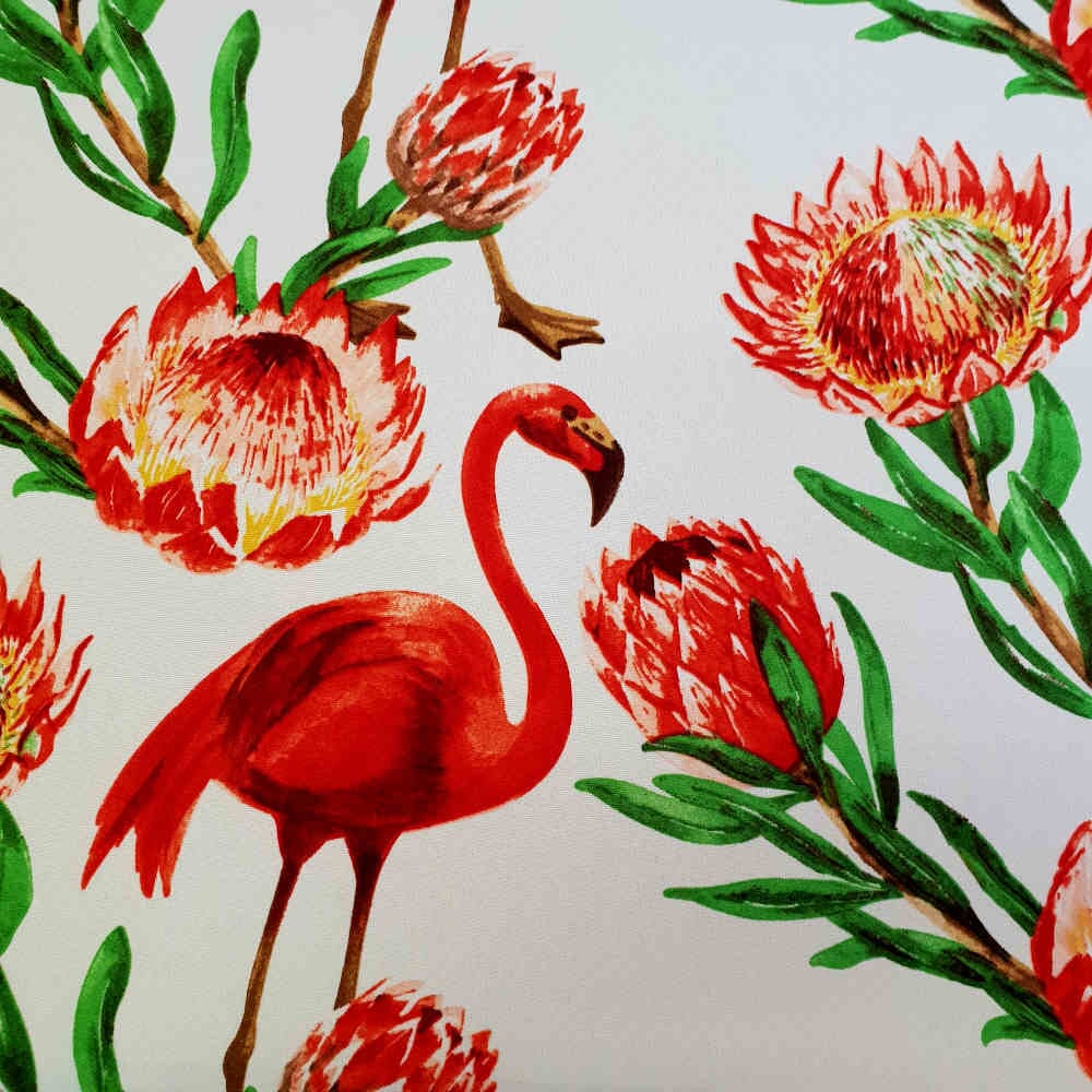 Printed Mini-Matt - Protea & Flamingo - White