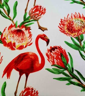 Printed Mini-Matt - Protea & Flamingo - White