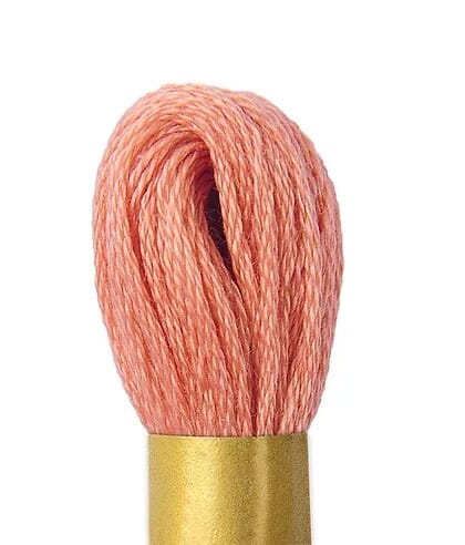 Curculo Hand Embroidery Thread - 259