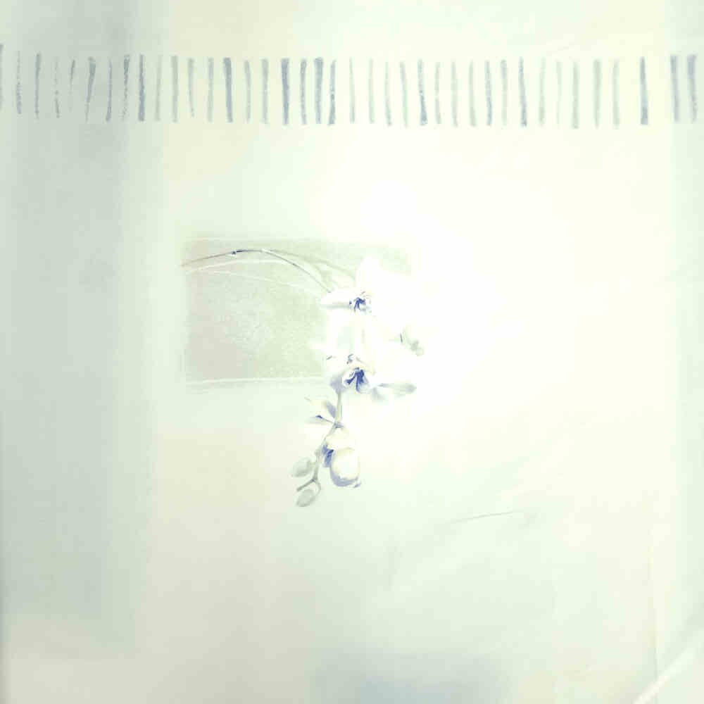 Maison Textiles Curtaining - 34